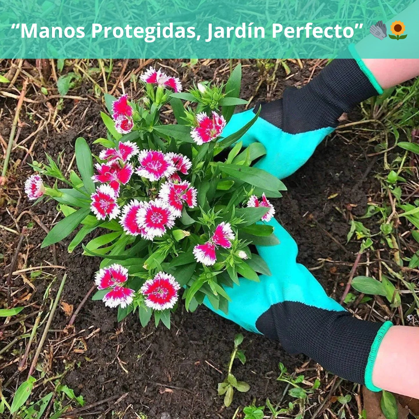 2 Pares De Guantes de Jardín con Garras