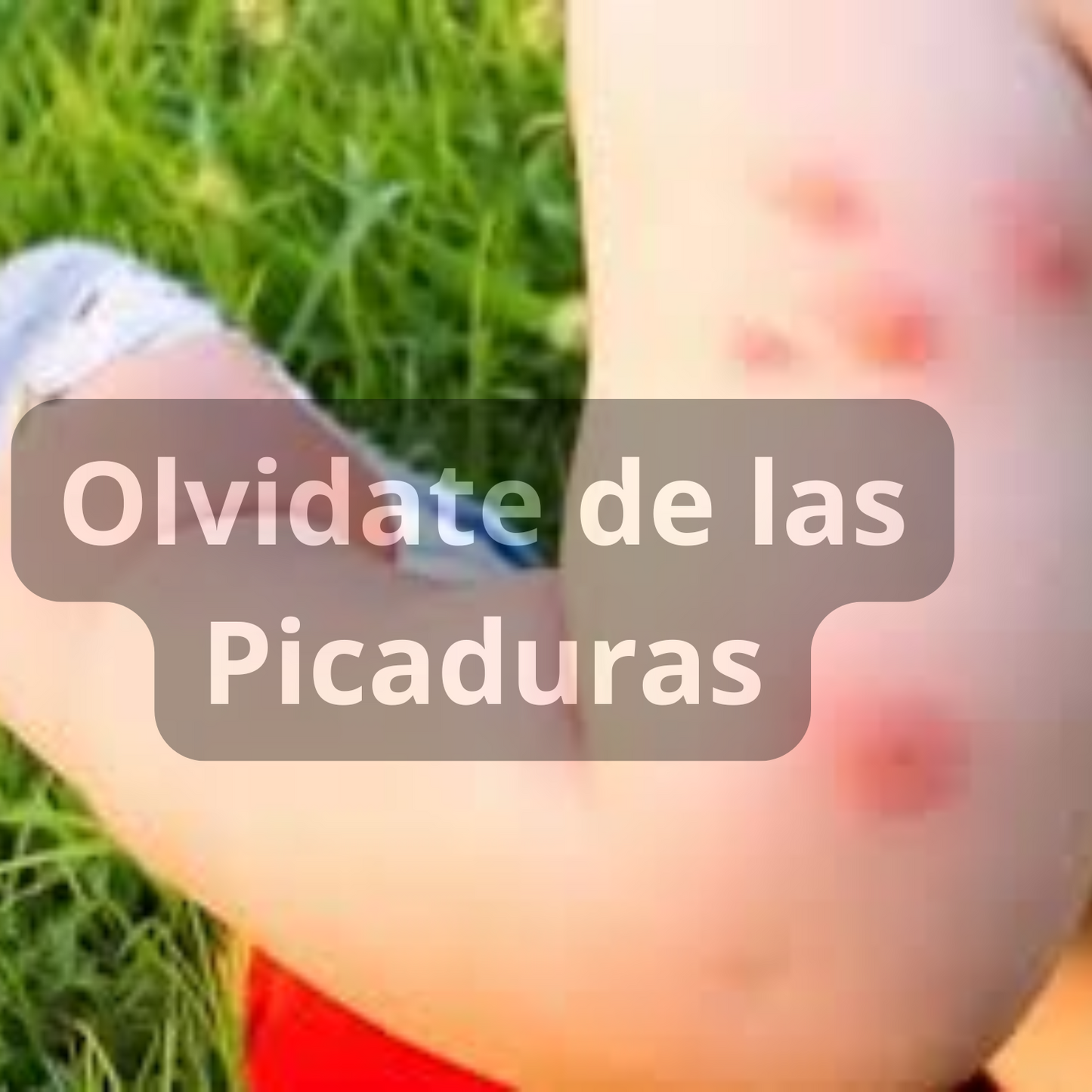 Malla Anti Mosquitos Puerta Magnética